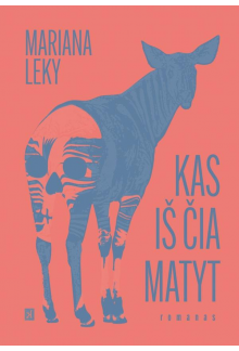 kas-is-cia-matyt_1767782697-76066a49de5ad4242d80381683179133