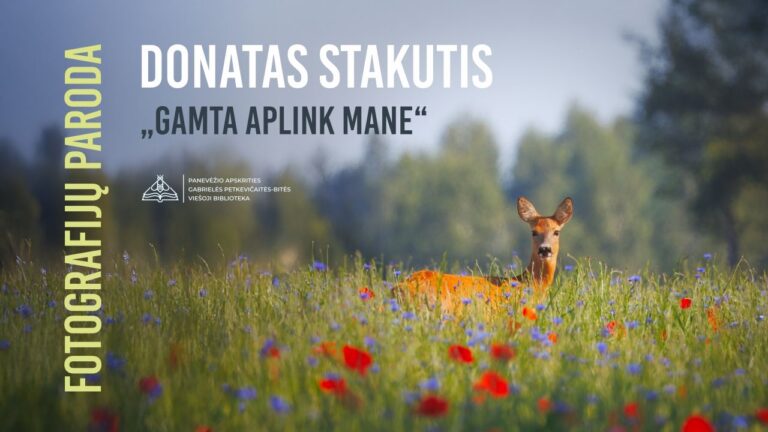 Žaliuojančioje ir žydinčioje pievoje stovi stirna medžių ir dangaus fone